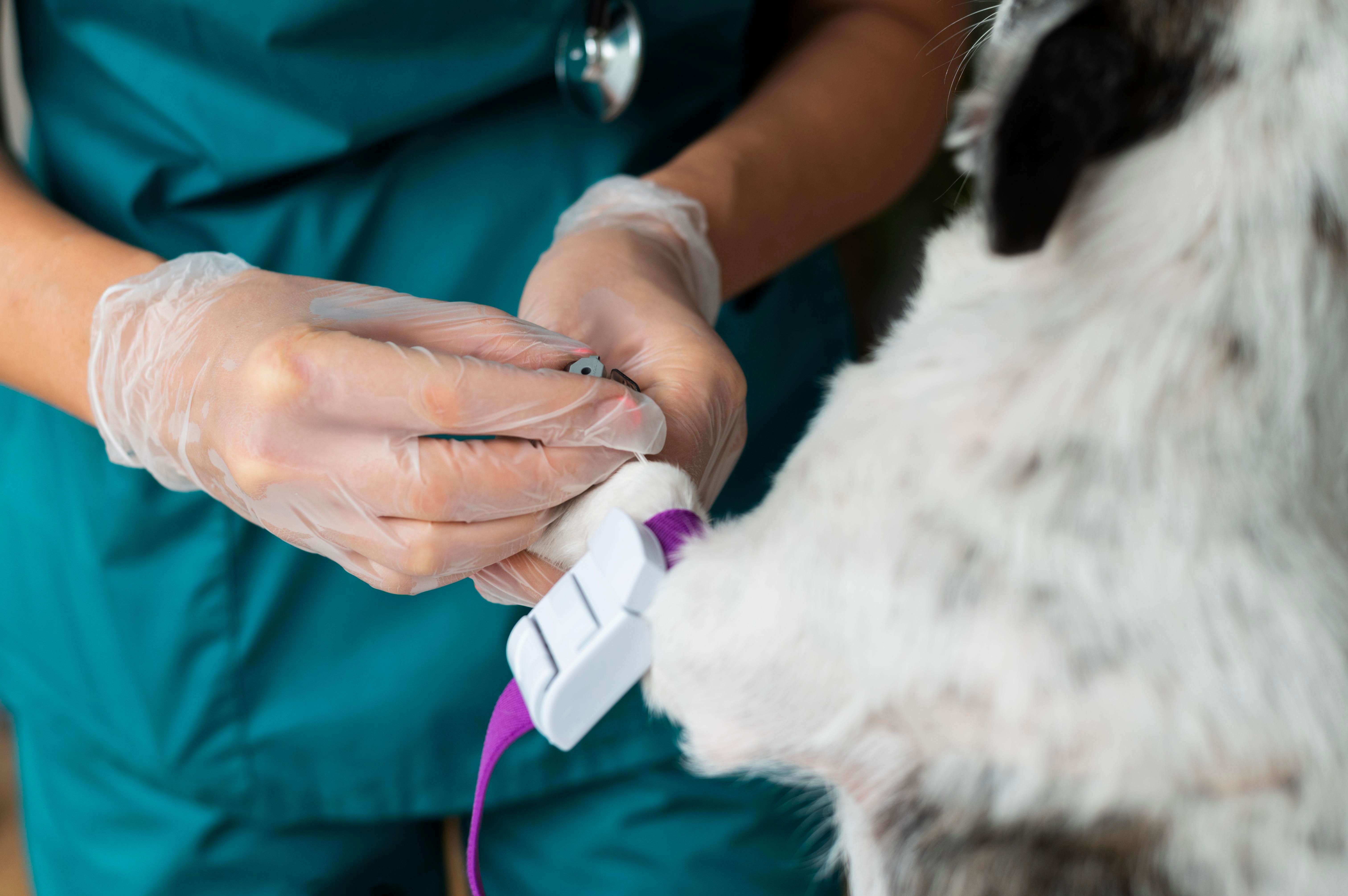 Eletrocardiograma