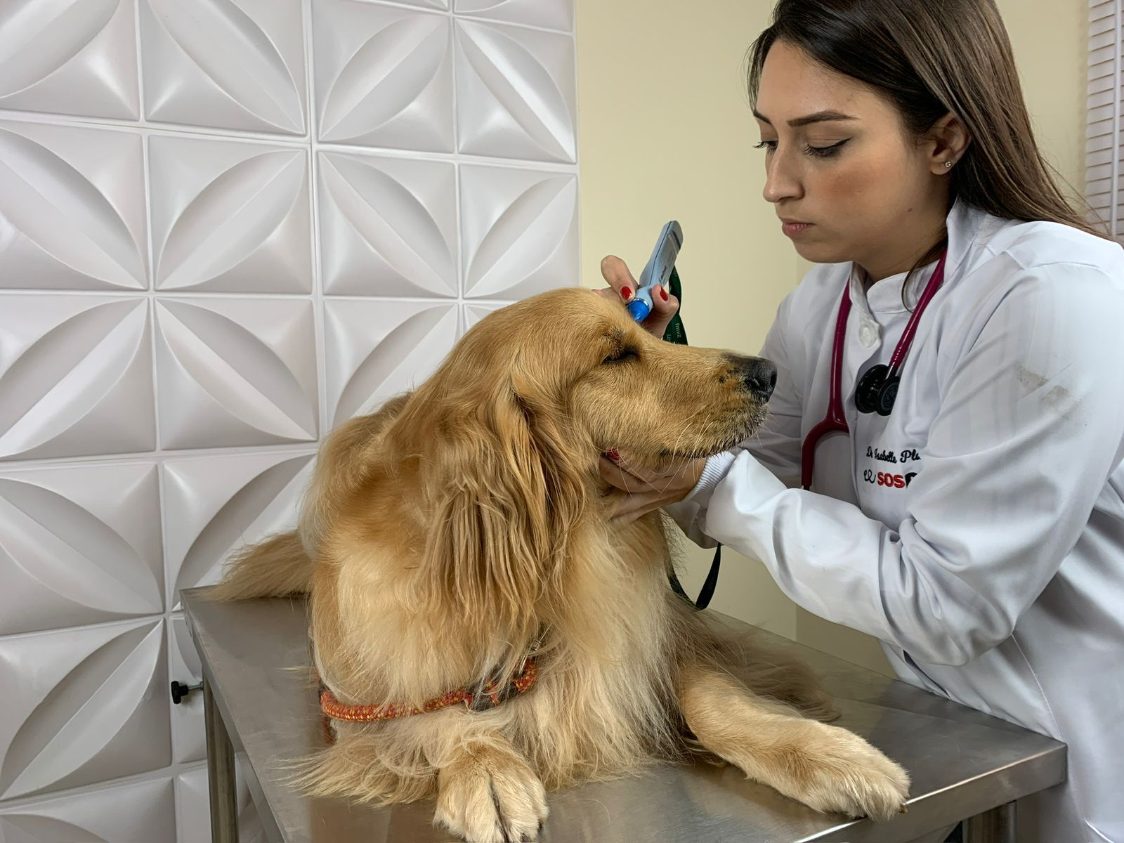 SOS Pet Lençóis Paulista