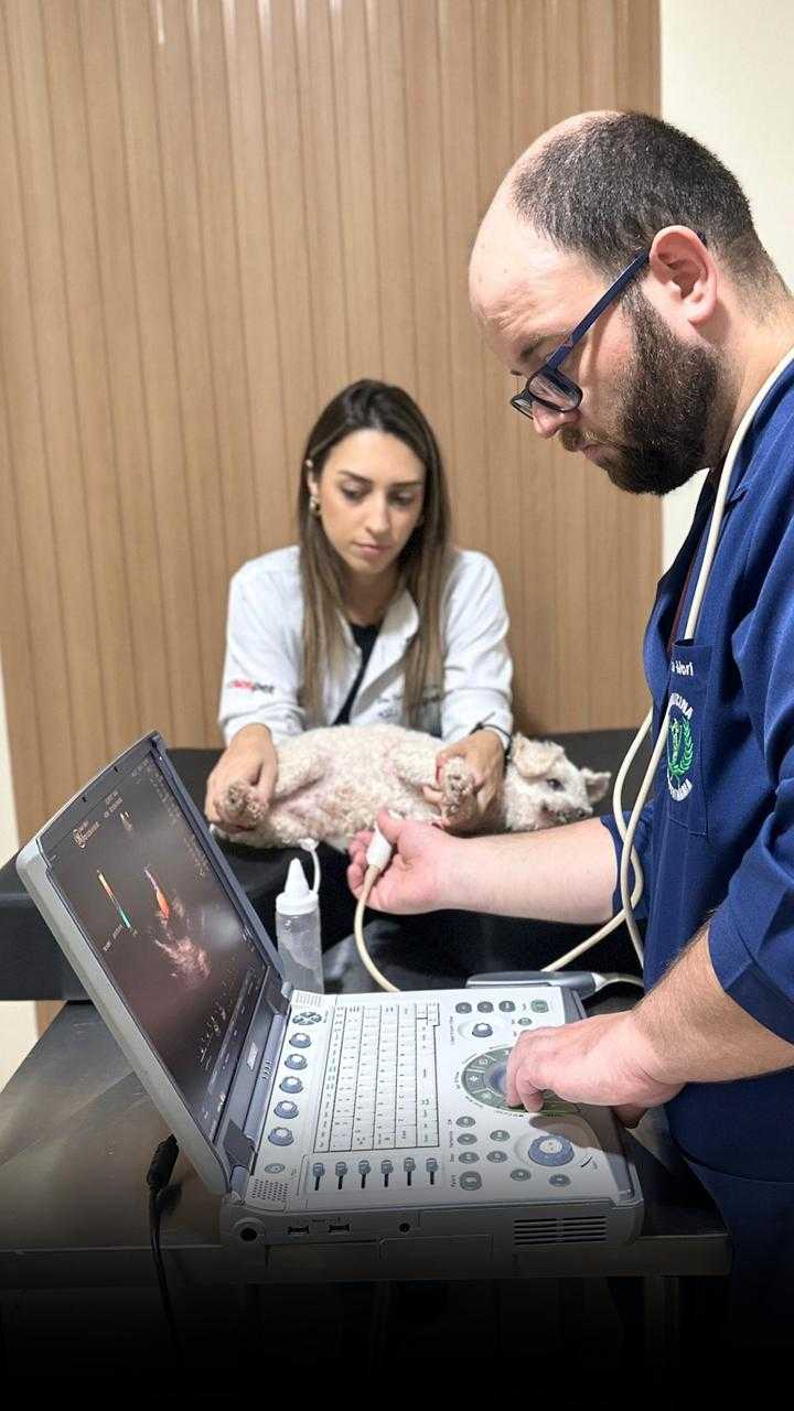 Foto da Galeria
