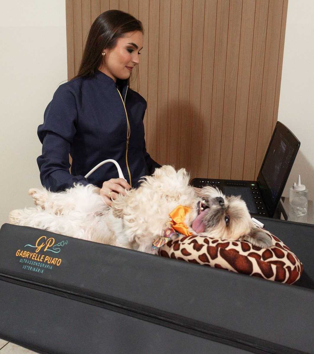 SOS Pet